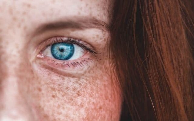 Ο σεβασμός στην ανθρώπινη ζωή ……………