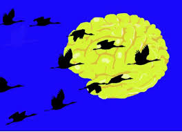 «Πνευματικές Περιπλανήσεις» Του Ηλία Γιαννακόπουλου