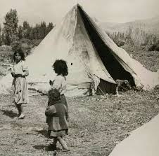 Ρομά : Σκηνές .. εκατ. ευρώ… λίρες .. Ρευματοκλοπές… αυθαίρετα ακίνητα … καταπατημένα οικόπεδα… και «μαϊμού» εταιρείες