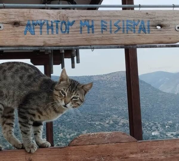 Ποίηση : Δημήτρης Τζουβαρης ΄΄ ΚΑΤΑ ΤΟ ΝΙΟ ΚΑΙ Τ’ ΑΡΜΑΤΑ ΄΄
