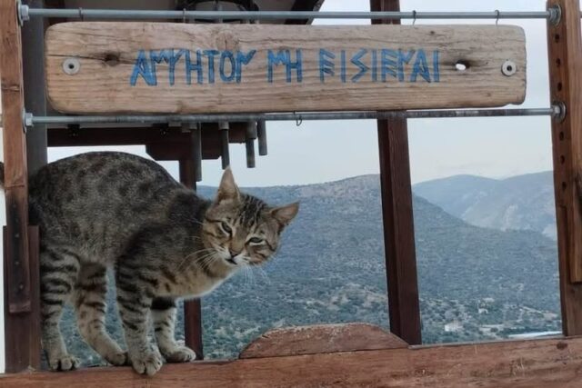 Ποίηση : Δημήτρης Τζουβαρης ΄΄ ΚΑΤΑ ΤΟ ΝΙΟ ΚΑΙ Τ’ ΑΡΜΑΤΑ ΄΄