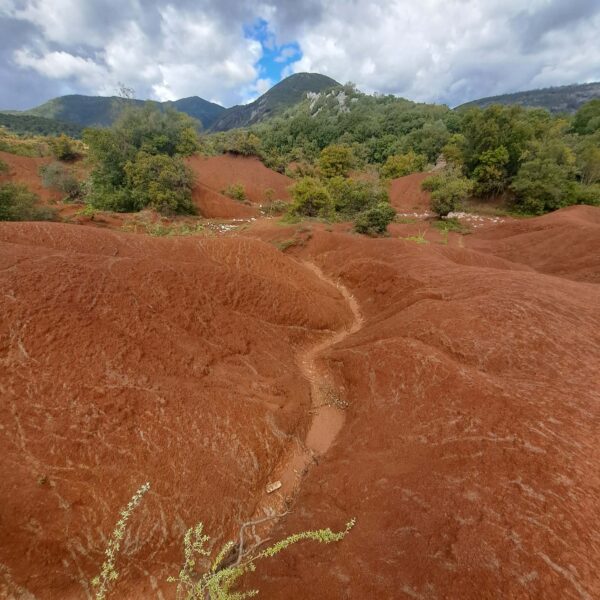 Περιηγήσεις – ΚΟΚΚΙΝΟΠΗΛΟΣ ΠΡΕΒΕΖΑΣ- Aπο τον  Τριανταφυλλο Αθανασουλα