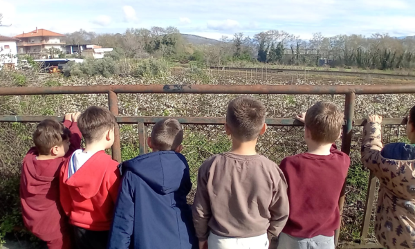 ΓΙΟΡΤΗ ΠΟΙΗΣΗΣ ΣΤΗ ΜΑΡΙΝΑ Δ. Νάουσας –  γράφει ο Χρήστος Μπίντας