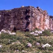 ΔΑΦΝΟΣ…….. ΤΟ ΑΣΚΛΗΠΙΕΙΟ