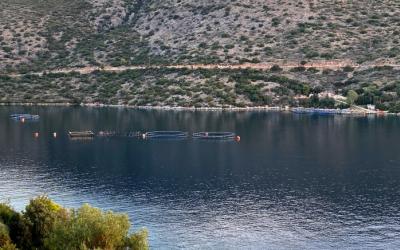 Εξαφανίσαμε ακόμη ένα εγκαταλελειμμένο ιχθυοτροφείο