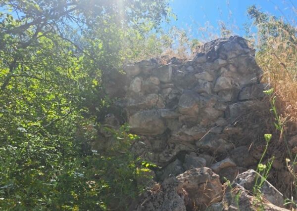 ΑΡΧΑΙΟΣ ΑΤΡΑΞ –  Απο τον Τριανταφυλλο  Αθανασουλα