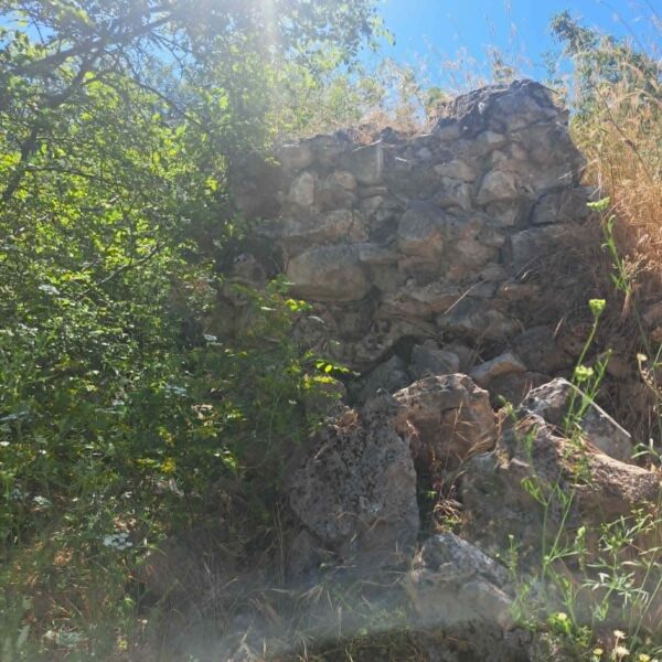 ΑΡΧΑΙΟΣ ΑΤΡΑΞ –  Απο τον Τριανταφυλλο  Αθανασουλα