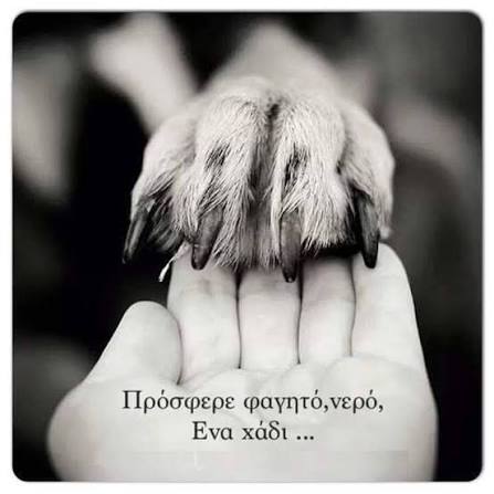 Αγαπάμε τα ζώα.  Δεν τα λατρεύουμε. Δεν τα υιοθετούμε.Του  Μυργιώτη  Παναγιώτη