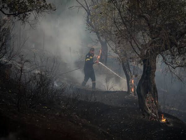 Η Κρήτη μας στις φλόγες …μια ακόμη δύσκολη ημέρα ξημέρωσε ! Της Νανσυς Κουτσιου