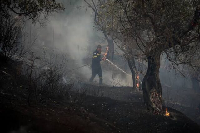 Η Κρήτη μας στις φλόγες …μια ακόμη δύσκολη ημέρα ξημέρωσε ! Της Νανσυς Κουτσιου
