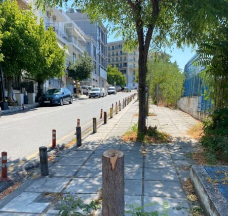 Γιατί «ακρωτηριάζουν» τα δέντρα στις πόλεις