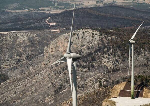 Δύο συλλήψεις για τη μεγάλη πυρκαγιά στη Βοιωτία που επεκτάθηκε στην Αττική – περιλαμβάνεται και ο ιδιοκτήτης της εταιρείας των ανεμογεννητριών