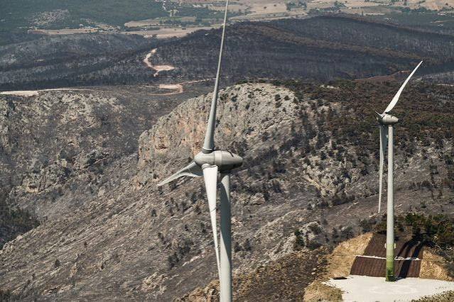 Δύο συλλήψεις για τη μεγάλη πυρκαγιά στη Βοιωτία που επεκτάθηκε στην Αττική – περιλαμβάνεται και ο ιδιοκτήτης της εταιρείας των ανεμογεννητριών