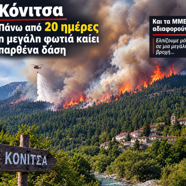 Από τις 31 Αυγούστου ΈΩΣ και σήμερα η φωτιά καίει παρθένα δάση στην Κονιτσα και τα μεγάλα ΜΜΕ   .. αφαντα …………