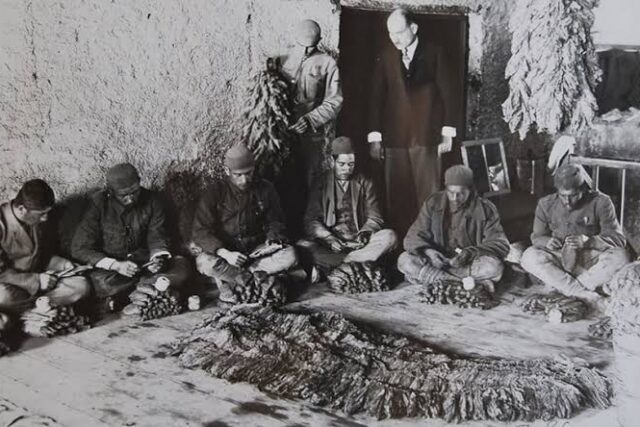 Σαν σήμερα, 1922: Το «μαύρο κύμα» φτάνει στον Βόλο – 12.000 πρόσφυγες σε μια πόλη 30.000 κατοίκων